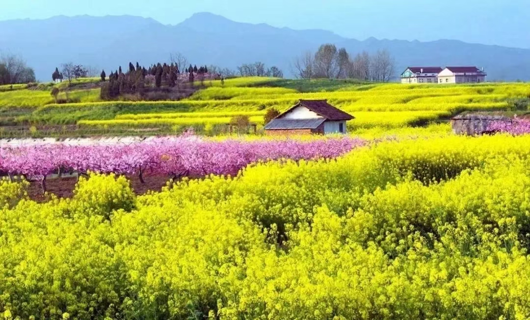 1穿越花海  巩东明（陕西地矿汉中队）摄.jpg